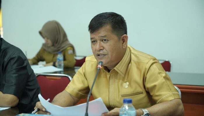 Paian Purba Minta Pansus PAD Kembali Dibentuk