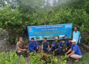 Cegah Abrasi, Rukun HNSI Kelurahan Belawan Sicanang Tanam Pohon Mangrove