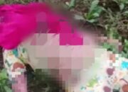 Mayat Wanita Tertancap Pisau Ditemukan Di Desa Sampali