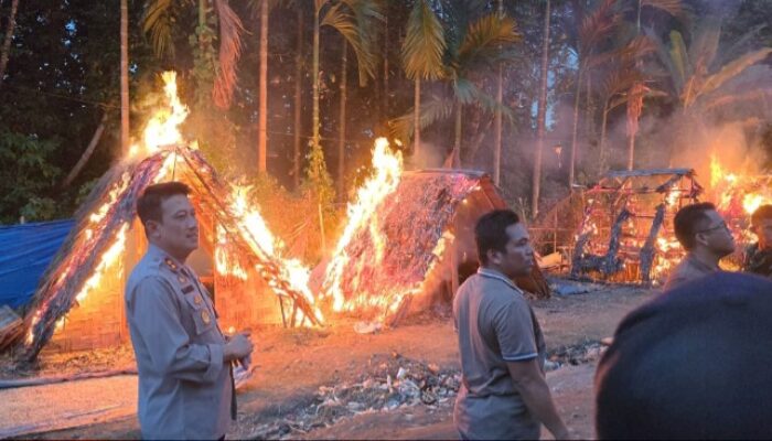 Operasi Gabungan TNI-Polri Musnahkan Barak-Barak Narkoba, 47 Orang Diamankan