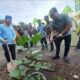 Pimpinan Cabang Muhammadiyah Kp Dadap Bersama Camat Medan Timur Tanam Pohon Dadap