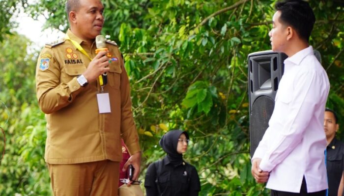 Pj Bupati Faisal Lapor Wapres Gibran, Langkat Siap Sambut Percepatan Gerakan Tanam Padi