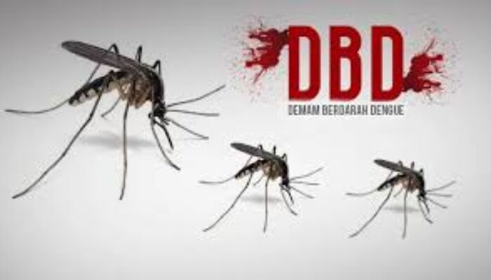KLB Malaria dan DBD Di Nias Diperpanjang