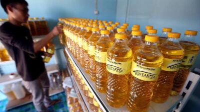 Pemerintah Rencanakan Bulog Jadi Badan Otonom, Akan Salurkan Minyakita
