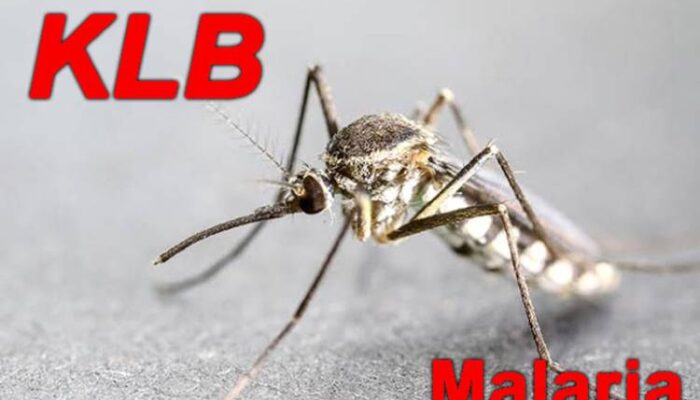 Status KLB Malaria Di Nias Selatan Kembali Diperpanjang