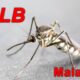 Status KLB Malaria Di Nias Selatan Kembali Diperpanjang