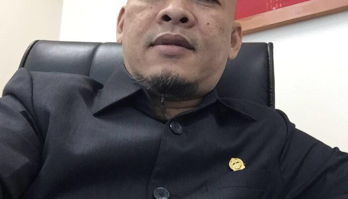 Aripay Tambunan Soroti Data BPS Soal Luas Lahan Kebun Sawit Di Palas