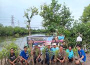Kolaborasi HNSI Rukun Belawan Sicanang-FKGMP-LAAB Tanam Mangrove