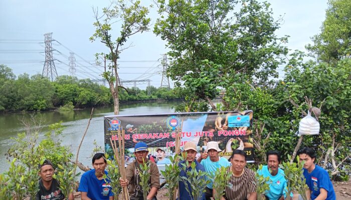 Kolaborasi HNSI Rukun Belawan Sicanang-FKGMP-LAAB Tanam Mangrove