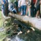 Warga Pagaran Bira Julu Dikejutkan Penemuan Mayat Di Saluran Irigasi