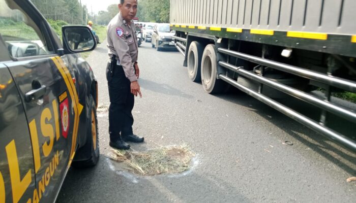 Tertimpa Cabang Pohon Di Jalan Siantar – Perdagangan, 1 Tewas
