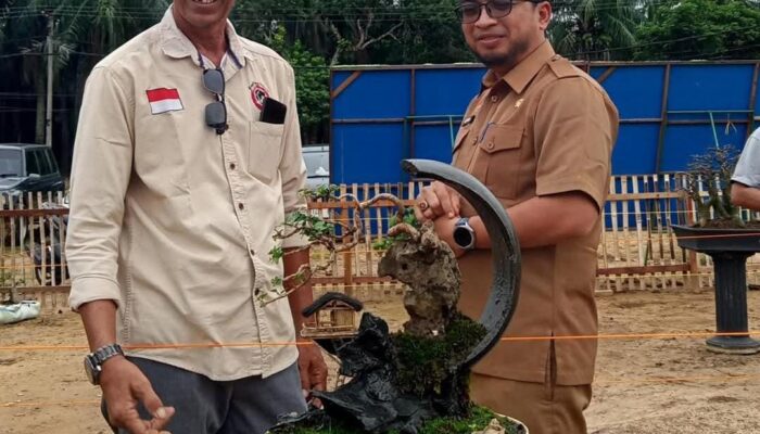 Ratusan Tanaman Bonsai Ramaikan Pameran RUBI Langsa