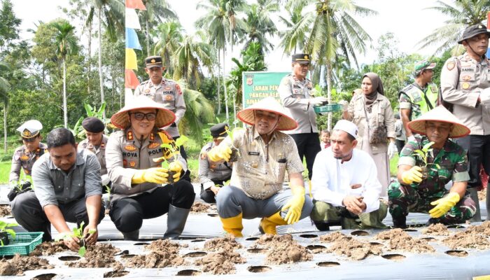 Kelompok Tani Darul Aman Dapat Bantuan Alat Mesin Pertanian
