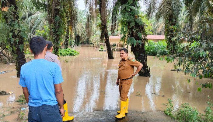 Akibat Meluapnya Sungai Sosa Puluhan Rumah di Sosa Julu Terendam