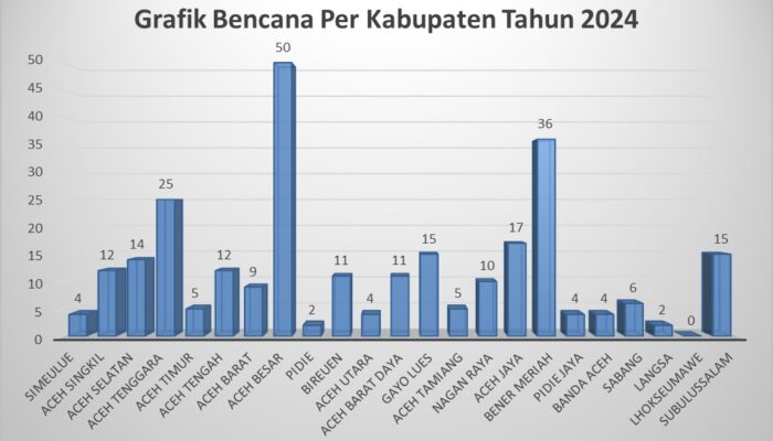 Tahun 2024 Aceh Dilanda 273 Bencana, Kerugian Capai Ratusan Miliar