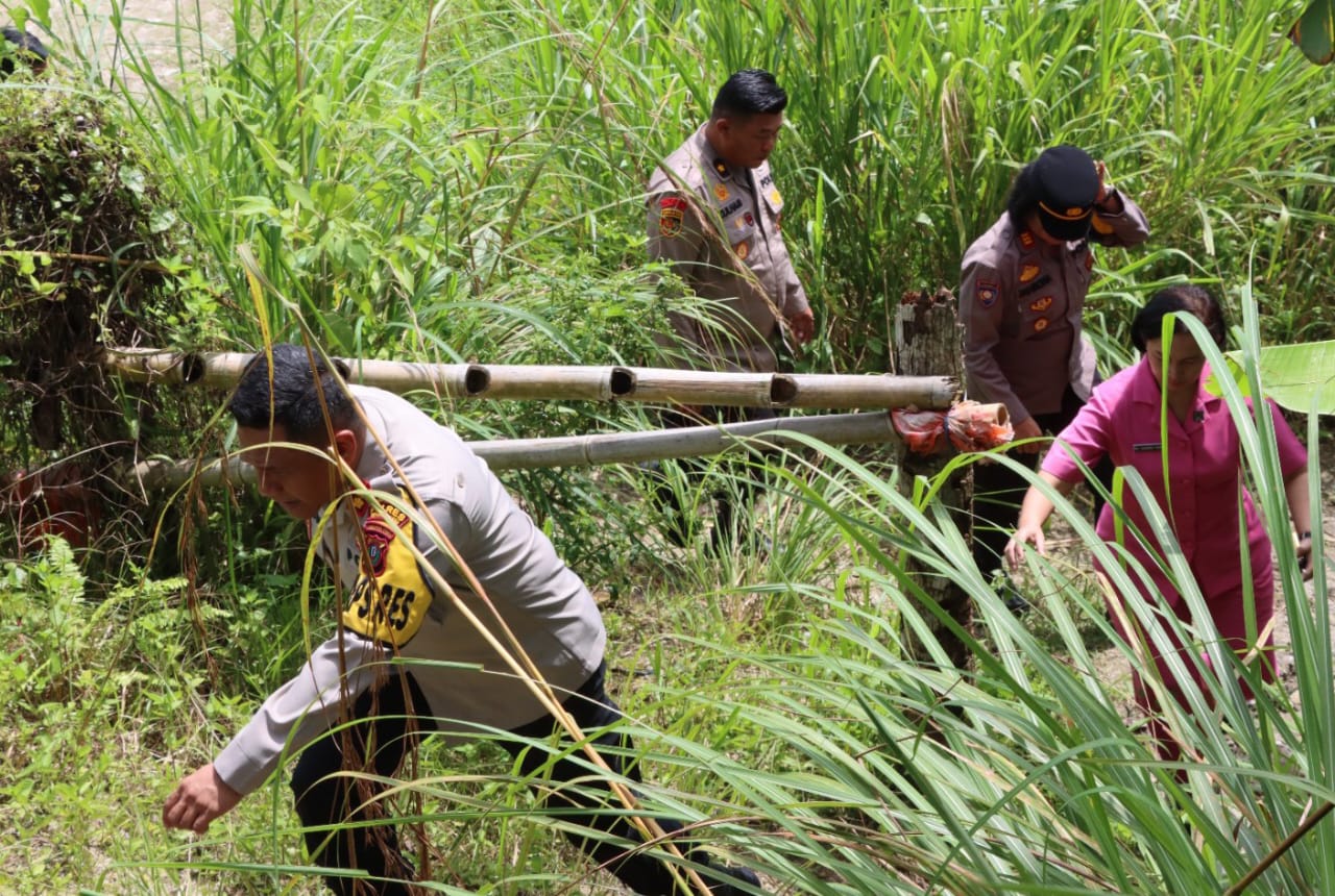 Kapolres Pematangsiantar Tinjau Persiapan Lahan Penanaman Jagung Serentak Kapolres Pematangsiantar Tinjau Persiapan Lahan Penanaman Jagung Serentak