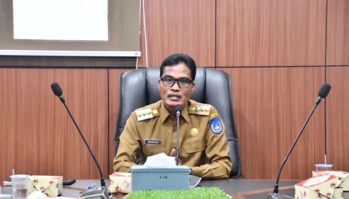 IPM Tahun 2024 Kota Langsa, Tertinggi Kedua Se Aceh