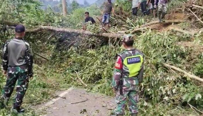 Jalan Lintas Provinsi Di Aceh Timur Tertimbun Longsor