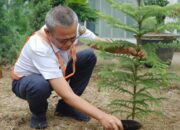 KAI Bandara Dukung Gerakan Satu Juta Pohon