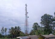 Indosat dan ZTE Perluas Pengalaman Digital Di Indonesia, Melalui Teknologi Backbone Mikrowave iFlexiTrunk
