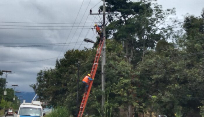 Perbaiki Jaringan, PLN Padamkan Aliran Di Beberapa Wilayah Palas