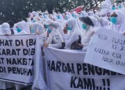 Ratusan Nakes Geruduk Kantor Pemkab Bireuen