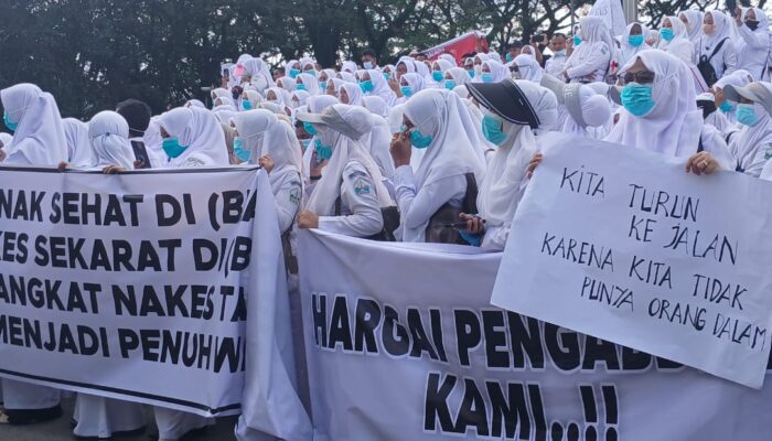 Ratusan Nakes Geruduk Kantor Pemkab Bireuen