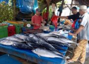 Dukung Program MBG, Nelayan Aceh Utara Butuh Cold Storage