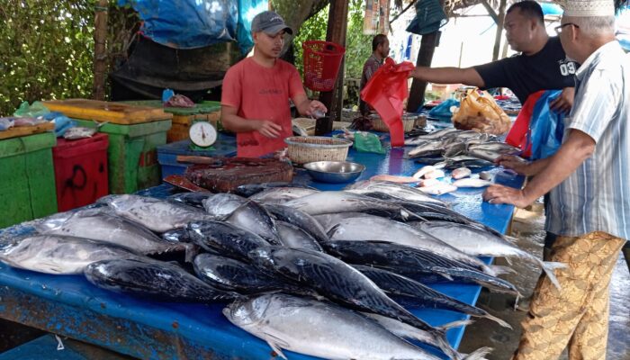 Dukung Program MBG, Nelayan Aceh Utara Butuh Cold Storage