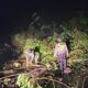Lintas Aceh Timur - Galus Putus Lagi