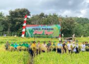 Pj. Wali Kota Dan Kapolres Sabang Hadiri Panen Perdana Padi Gogo