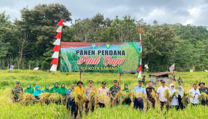 Pj. Wali Kota Dan Kapolres Sabang Hadiri Panen Perdana Padi Gogo