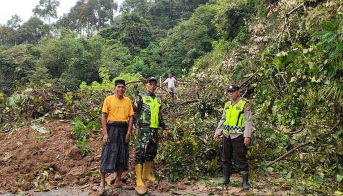 Jalan Lokop-Pinding Longsor, Aktivitas Warga Lumpuh Total