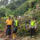 Jalan Lokop-Pinding Longsor, Aktivitas Warga Lumpuh Total