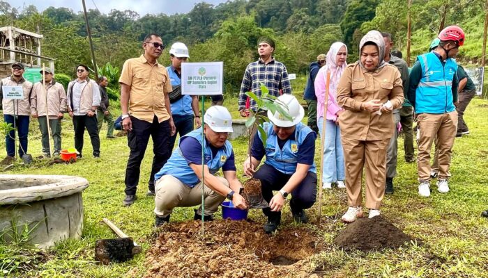 Dukung Percepatan Hilirisasi Dan Ketahanan Kehutanan, PLN UIP SBU Turut Menanam Pohon Serentak