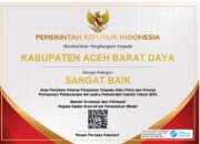 Abdya Raih Penghargaan Kementerian Investasi Dan Hilirasi/BKPM