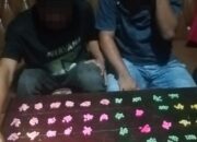 Intel Korem 022/PT Gagalkan Peredaran 701 Butir Ekstasi Di Labuhanbatu