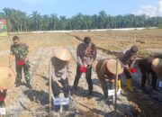 Dukung Ketahanan Pangan, Polres Aceh Tamiang Tanam Jagung
