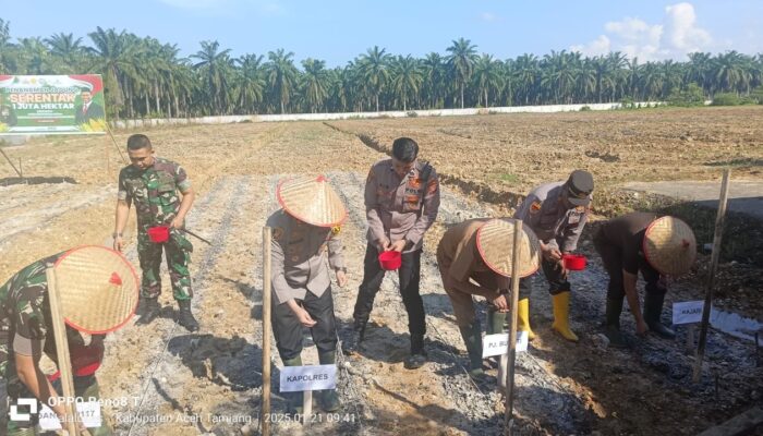 Dukung Ketahanan Pangan, Polres Aceh Tamiang Tanam Jagung