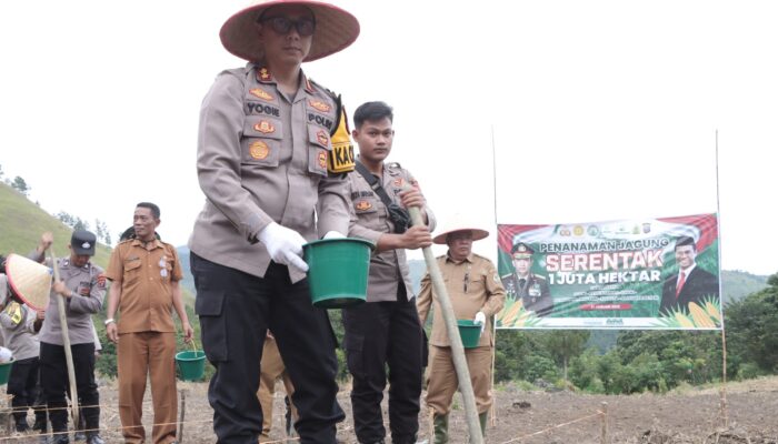 Program Ketapang Polri, Polres Samosir Tanam Jagung 1 Juta Hektare