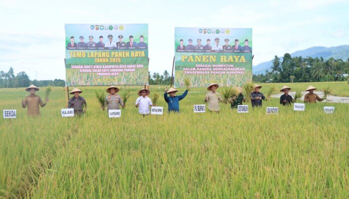 Ubinan Sementara Capai 8,5 Ton Per Hektare, Pj Sunawardi Sebut Abdya Lumbung Pangan Di Aceh