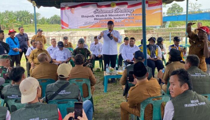 Tinjau Bendungan Rusak Di Deliserdang, Wamentan Janji Benahi Harga Gabah Rp6.500