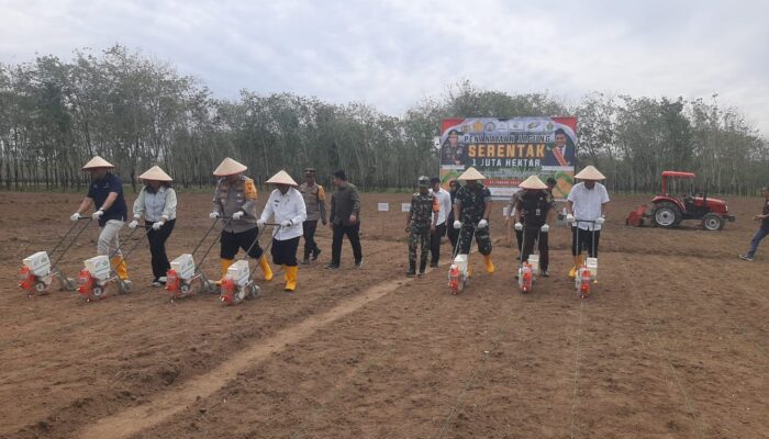 Wabup Simalungun Hadiri Penanaman Jagung Serentak 1 Juta Hektare Di G.Malela