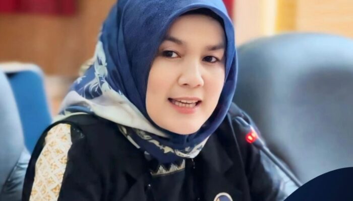 Anggota DPRK Minta Pj. Gubernur Aceh Evaluasi Kinerja Kacabdin Aceh Selatan