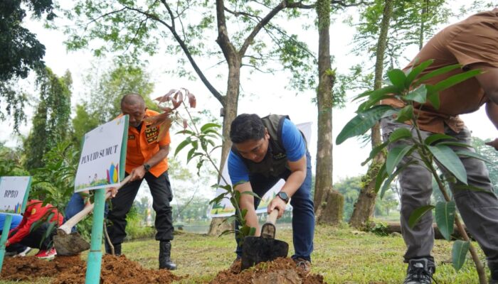 Peringati Hari Lingkungan Hidup, PLN UID Sumut Lakukan Penanaman Pohon