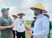 Kemenko Pangan Kunjungi RSI, Tinjau Proses Pengolahan Ikan Tilapia