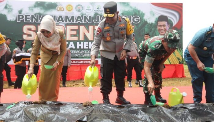 Wujud Sinergitas, Dukungan Polda Sumut Untuk Program Penanaman Jagung Serentak
