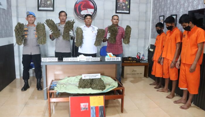 Polres Langsa Amankan 10 Kg Ganja, 3 Tersangka Ditangkap