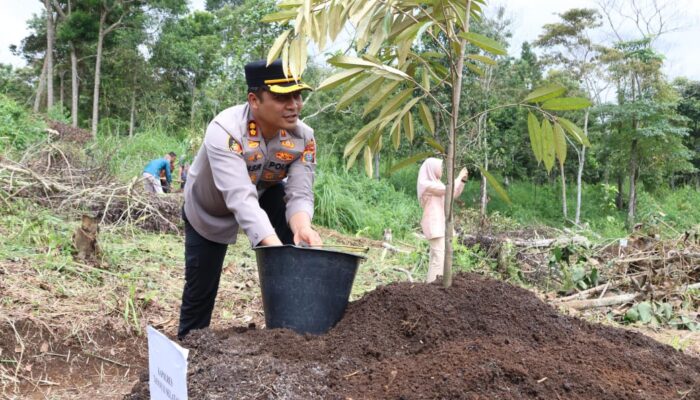 Forkopimda Tapsel Tanam Pohon Durian Di Taman Kantor Bupati
