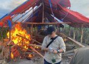 Polisi Bakar Barak Narkoba Di Tungurono Binjai